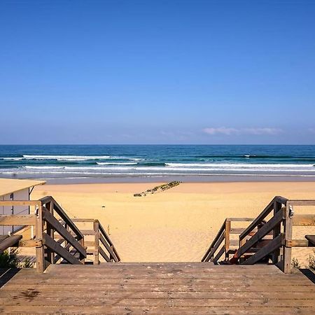 La Cabane Maddyblue 5 Min A Pieds De L'Ocean Et Commerce Mimizan-Plage Exterior foto