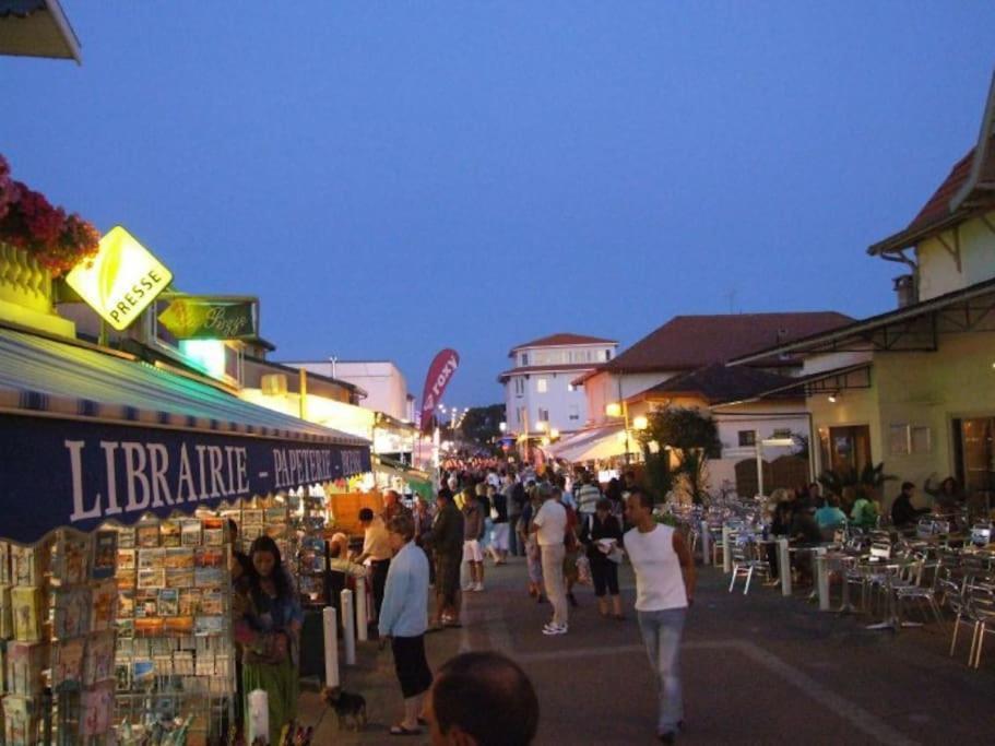 La Cabane Maddyblue 5 Min A Pieds De L'Ocean Et Commerce Mimizan-Plage Exterior foto